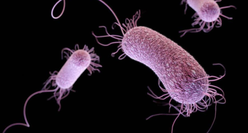Infezioni ospedaliere: emergenza “Superbugs”