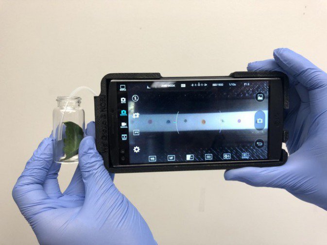 Un dispositivo trasforma lo smartphone in un naso elettronico per “annusare” le malattie delle piante