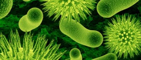 Superbugs, appello infettivologi: urgente educazione sanitaria a scuola e sviluppo nuovi antibiotici