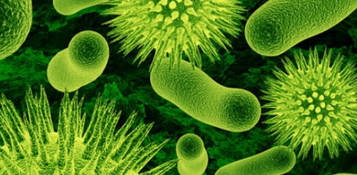 Superbugs, appello infettivologi: urgente educazione sanitaria a scuola e sviluppo nuovi antibiotici