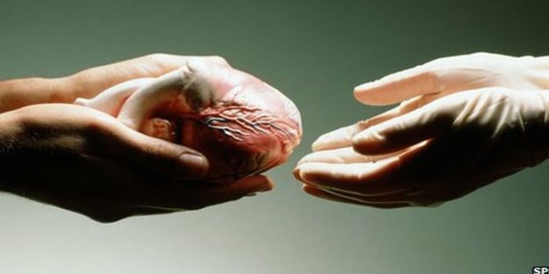Donazione di organi: il gesto di grande altruismo dei familiari di un  operaio vittima di incidente – Messina Medica 2.0