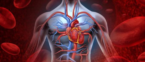 Malattie cardiovascolari: 1 italiano su 2 non sa che è la prima causa di morte