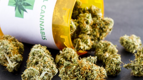 Cannabis a uso terapeutico: l’assessore Razza valuta la coltivazione in Sicilia