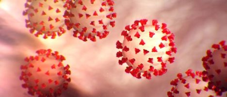 Emergenza Coronavirus. Colloquio tra il Corona-virus e il Sistema Nervoso