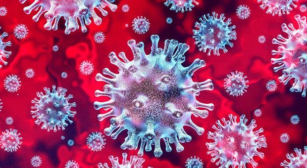 Fluidificanti del sangue e COVID: la cura sulla base dei risultati clinici ottenuti