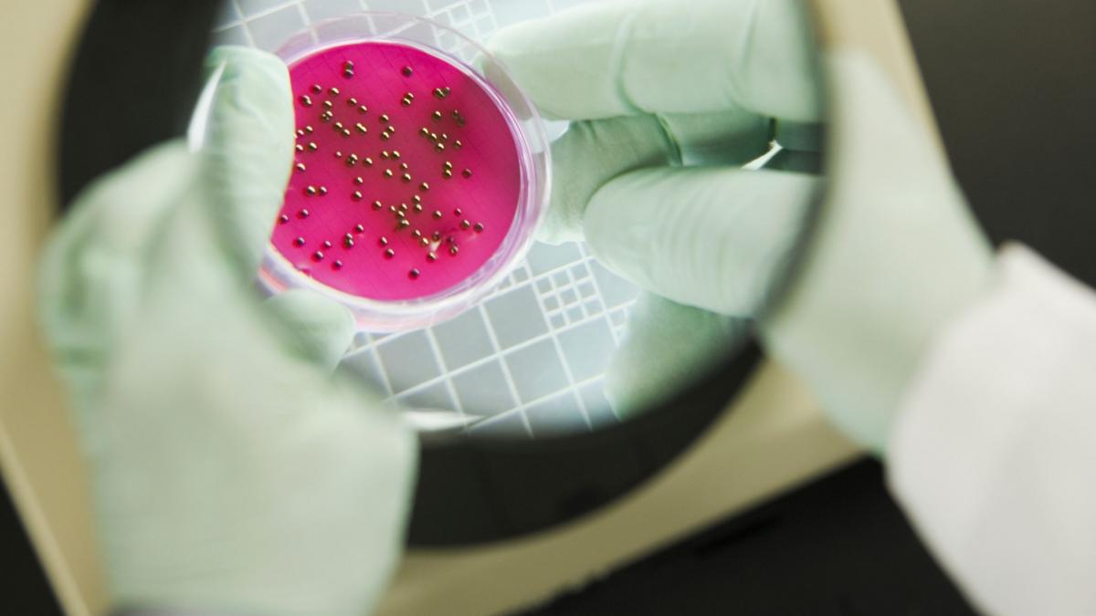 Nell’anno del virus, non scordiamoci funghi e batteri: al via una campagna per informare e sensibilizzare sui superbugs e sul fenomeno dell’antimicrobico-resistenza