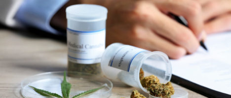 Assessorato della Salute: chiarimenti inerenti la cannabis ad uso medico