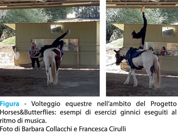 La riabilitazione equestre per i disturbi del comportamento alimentare: uno studio pilota