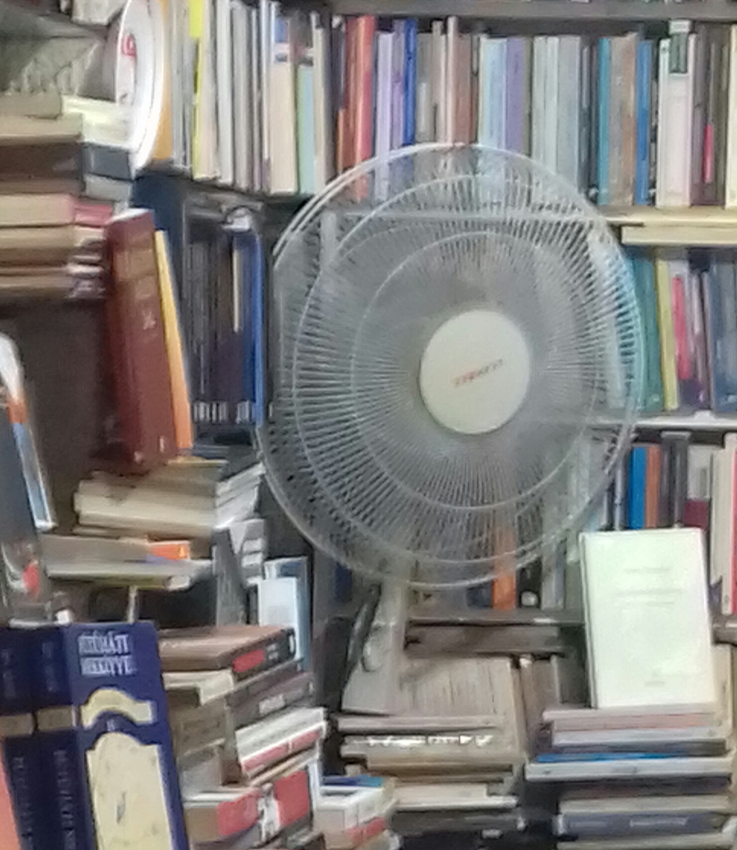 Noterelle riabilitative del padre del libraio: “Spartacus”