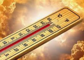 Il caldo record ha fatto una strage tra gli over 80