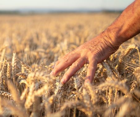 Convegno ECM dal titolo: “Grano siciliano e salute: stili di vita e dieta mediterranea”