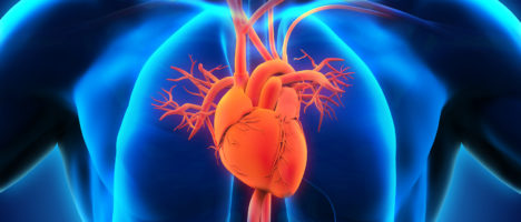 Rischio cardiovascolare: 1 italiano su 2 dice di fare qualcosa per prevenirlo, ma è ancora poca la consapevolezza e tanti gli ostacoli da superare per intervenire attivamente sullo stile di vita