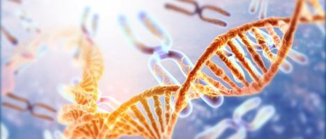 Le informazioni “cancellate” dal genoma umano potrebbero essere ciò che ci ha resi umani