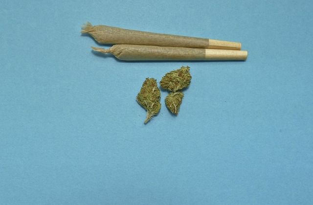 De Lillo (Omceo Roma): Il 4% degli studenti delle medie fa uso di cannabis. Il corso di approfondimento dell’Ordine dei Medici sui rischi