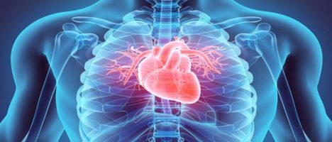 MSD presenta nuove analisi a supporto del promettente potenziale di sotatercept, il farmaco sperimentale per adulti affetti da ipertensione arteriosa polmonare (PAH)