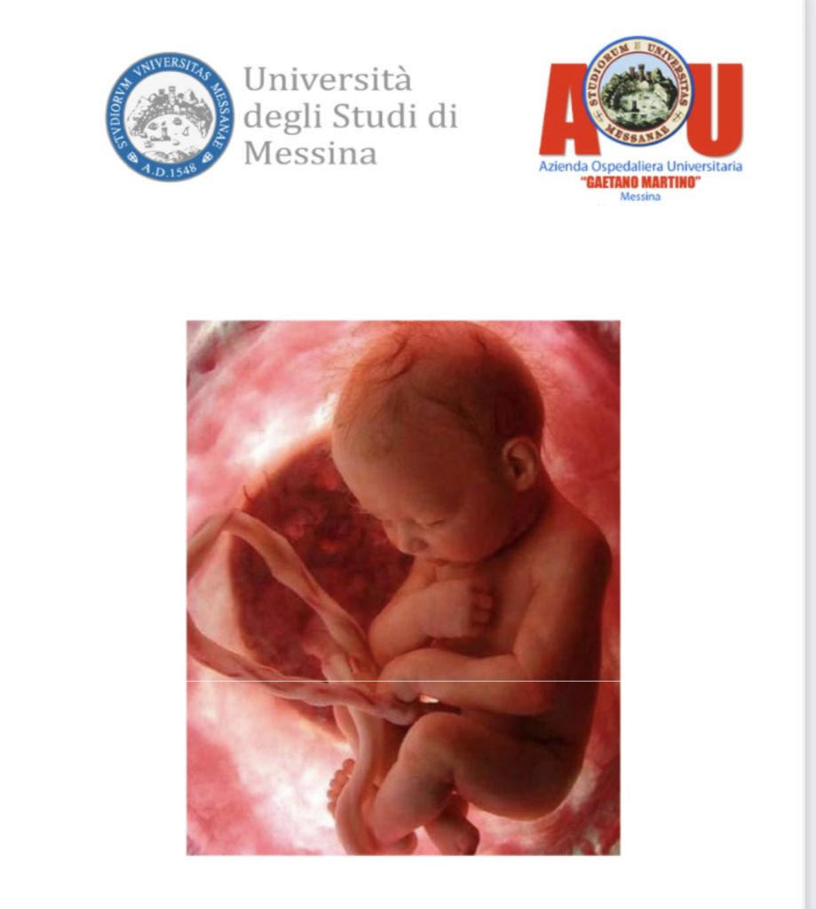 Al via la II edizione del corso “Dalla diagnosi prenatale all’outcome neonatale: le nuove frontiere della medicina e chirurgia fetale”
