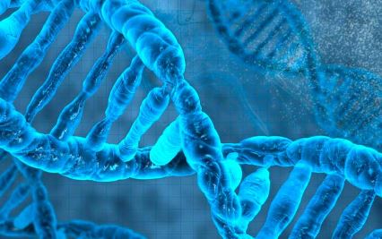 L’orologio epigenetico e le prospettive innovative per un futuro rigenerato per Messina Medica 2