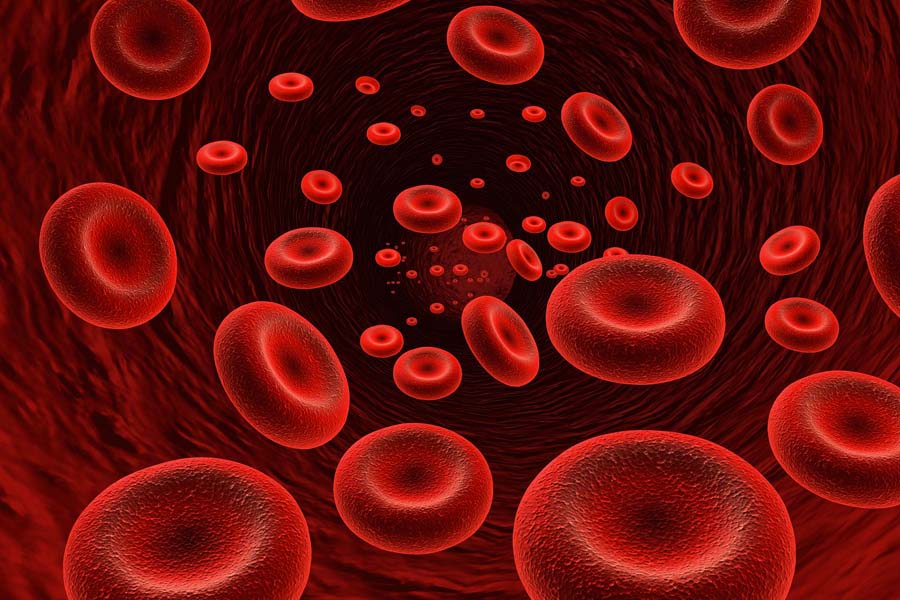 In caso di anemia, si attivano meccanismi endogeni di risposta per contrastarla.Un potenziale obiettivo futuro per il trattamento dell’anemia grave nei pazienti che non rispondono ai trattamenti standard è rappresentato dalla comprensione di questi processi