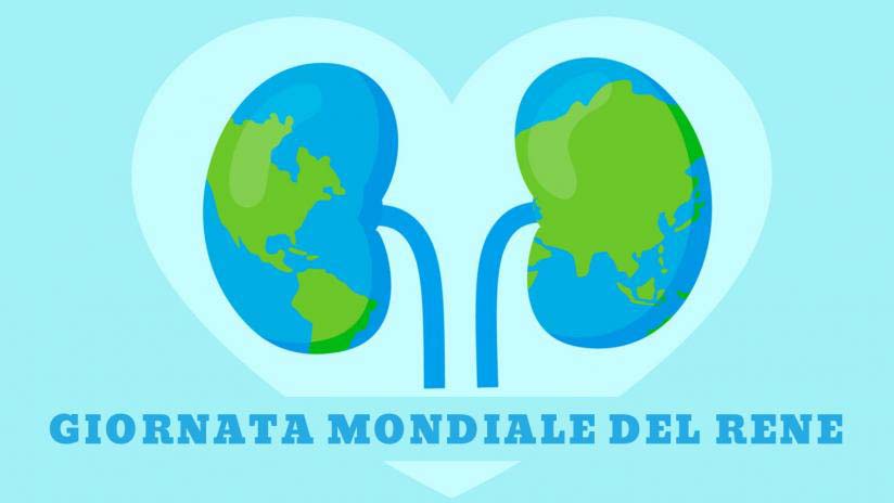 U.O. Nefrologia e Dialisi: giovedì 13 marzo porte aperte per lo screening gratuito delle patologie renali