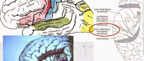 E’ risaputo che le modalità comunicative posso incidere efficacemente sulla capacità di percezione dei discorsi che facciamo