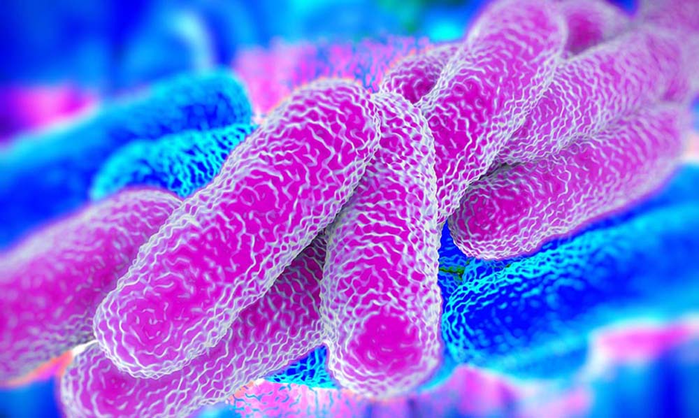 Legionella, il rischio nascosto. Aumento dei casi in italia e nuove strategie per il controllo di un batterio silenzioso