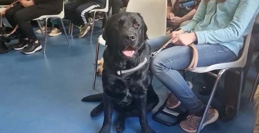 Messina, Centro Helen Keller: oggi cerimonia di consegna cani guida e bastoni bianchi per non vedenti