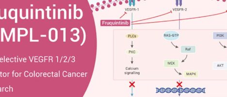 Fruquintinib disponibile in Italia: una nuova opzione terapeutica per i pazienti con tumore metastatico del colon-retto