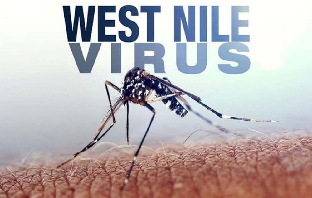 La diffusione del virus West Nile dovrebbe preoccuparci?