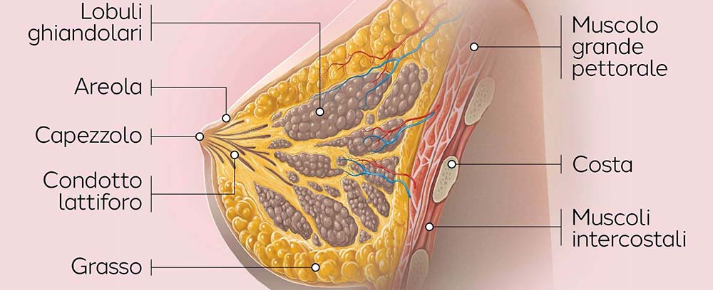  Per parlare di tumore alla mammella