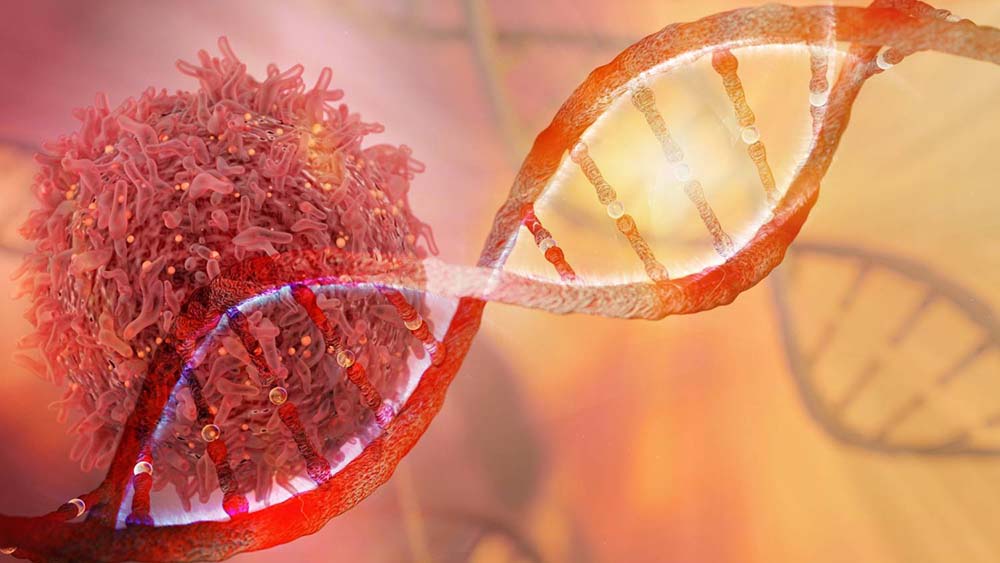 I mitocondri delle cellule tumorali “accendono” i fibroblasti e favoriscono la crescita del cancro