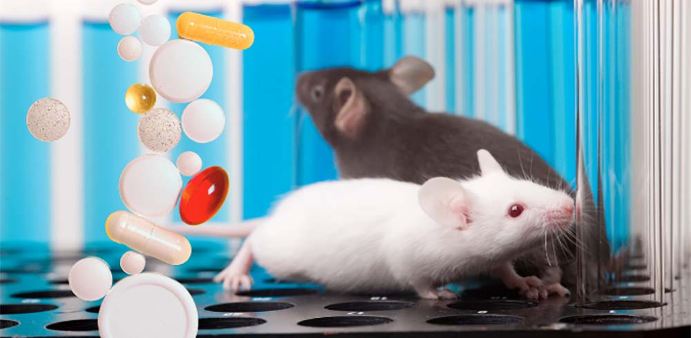 Una ricerca sugli animali ha identificato Lac-Phe riduce l’appetito nei topi attraverso l’inibizione dei neuroni AgRP