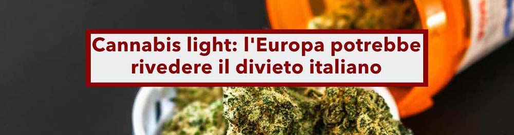 Cannabis light, novità in arrivo, il Consiglio di Stato ferma tutto, ora decide l’Europa: può saltare il divieto italiano