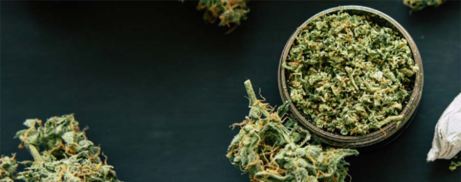 Scheda per la raccolta sei dati dei pazienti trattati con preparazioni magistrali a base di Cannabis