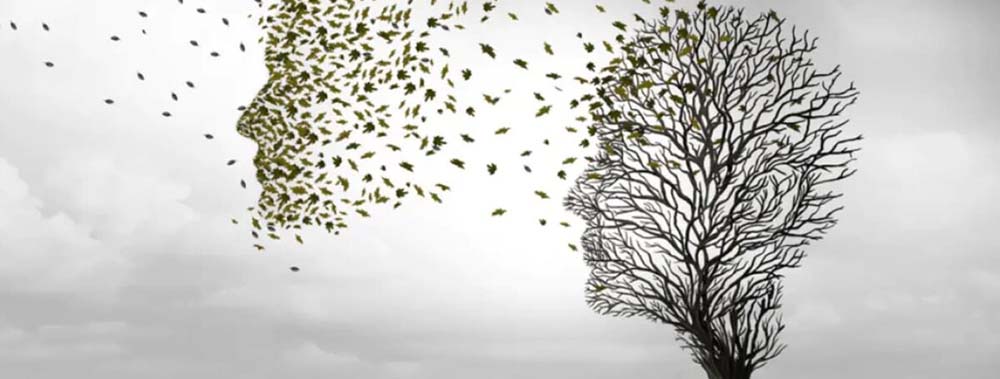 Alzheimer e la memoria sociale: scoperta cruciale sui meccanismi cerebrali