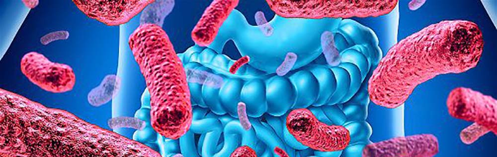La microbiomica, cosè e a cosa serve