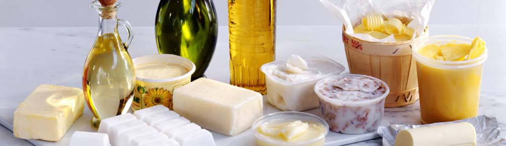 Grassi alimentari e salute: come i “batteri buoni” ci proteggono dall’obesità