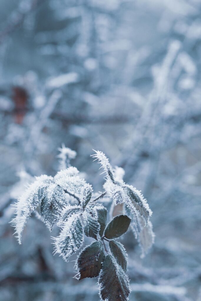 Lavorare al freddo: rischi, prevenzione e sicurezza