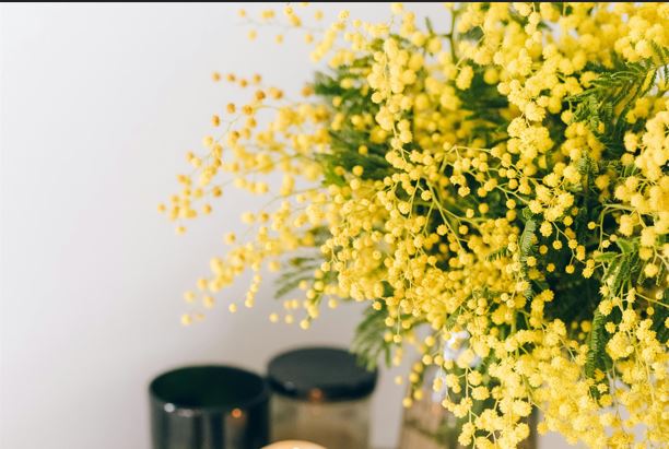 Viva, viva le donne….fimmini schetti e maritati