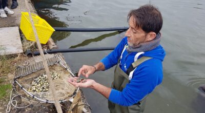 “Tra Acque e Torri- un viaggio nella biodiversità lagunare” – Sabato 23 maggio