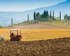 Riconvertire i terreni per intervenire sui cambiamenti climatici è utile?
