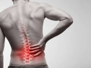 Lombalgia: uno studio sperimentale sui pesci Zebra chiarisce quali siano le alterazioni metaboliche coinvolte